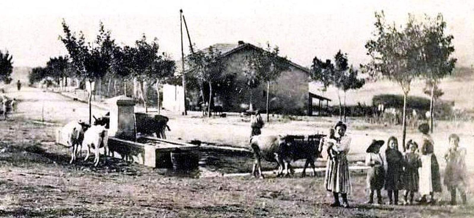 1963- Voltaire - L'Abreuvoir2.jpg